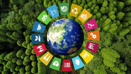 NGO in Sustainable Development Goals
